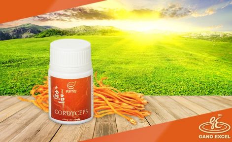 cordyceps.jpg