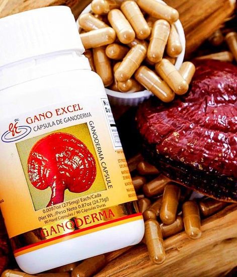 ganoderma_kapsz.jpg