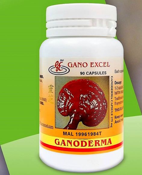 ganoderma_kapszulak_x.jpg