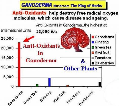 kiemelkedo_antioxidans_szint.jpg